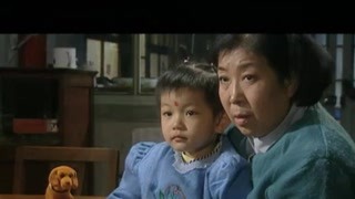 改革开放二十年沉浮