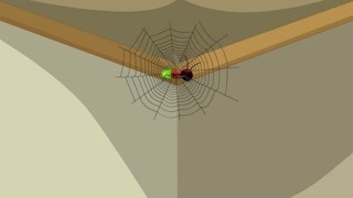 小翠的办法能抓住这个小虫子吗