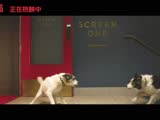 《犬之岛》“狗狗相传”口碑视频