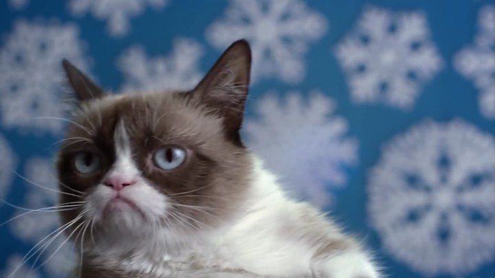 不爽猫最糟糕的圣诞节 预告片