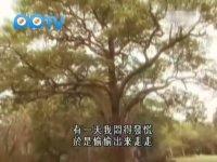 公主嫁到之精彩看点-第4集：金多禄心中藏着神秘女子