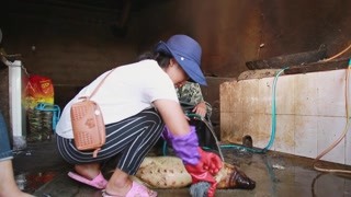 地域美食要保证食材血统纯正？ 你是科研呢还是做食物呢？