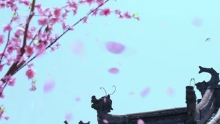 蜀山戰(zhàn)紀(jì)第2季第2集精彩片段1524022251731
