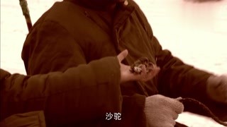 下輩子還做我老爸第2集精彩片段1527754934365