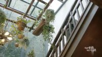 《最初的相遇，最后的别离》精彩看点 晓鸥被严谨扛走，男友力爆表