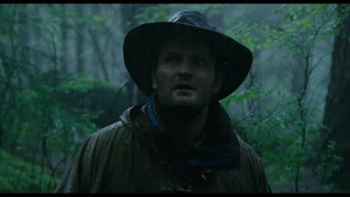 人类回到热带雨林 看到猩猩故乡的惨状