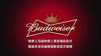最佳拍檔