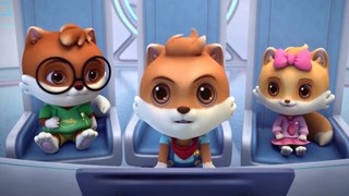 小酷好像失去记忆？