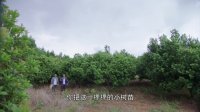 初心第31集(看點：甘祖昌父女二人釋懷)