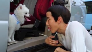 《青丘狐傳說》Mike超萌逗狗