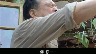 九个女人悲剧的命运