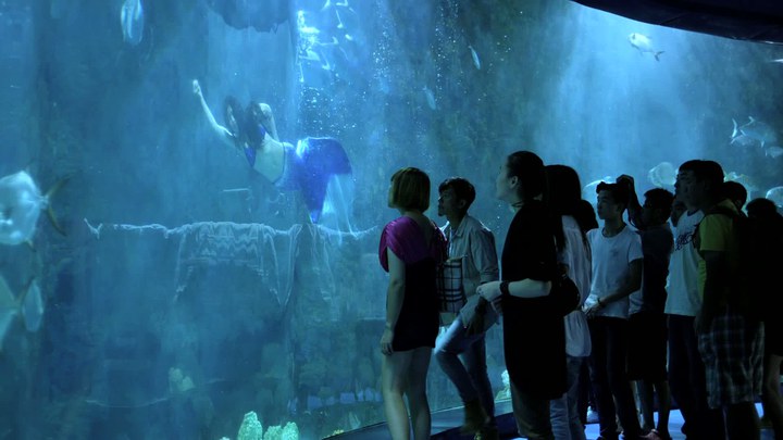 愛情銀行 片段4：美人魚