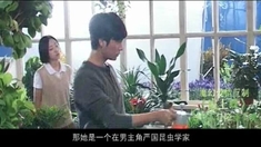 肩上蝶 桂纶镁花絮