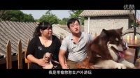 13对情侣16只狗狗《我的男友和狗》宠爱特辑
