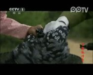 节振国传奇第26集抢先看01