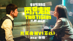 兩只老虎 片尾曲MV《可以》（演唱：趙薇）