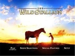 The Wild Stallion片花
