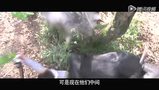 《铁核桃》官方版16分钟高清长片花
