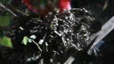 甲天下 预告片