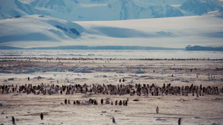 在企鹅帝国的边界 冰山缓缓向海洋移动它们是南极洲的一部分
