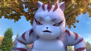 原来今天是山猫的生日