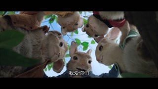 小兔子們潛入菜園