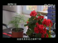 阳光路上第30集抢先看02