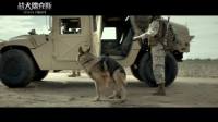 《战犬瑞克斯》“全民请愿”版预告 人犬并肩作战完美诠释“战友情”