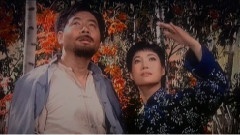 《雁南飞》-高清电影-在线观看