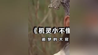 #機(jī)靈小不懂#張衛(wèi)健每個(gè)人在生活中都有自己的定位
