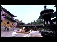 宫锁珠帘第34集抢先看01