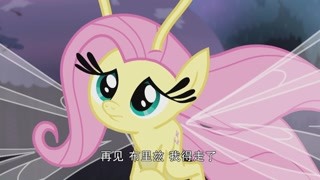 小馬們變身精靈馬 布里茲的歷險記