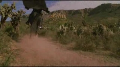 佐羅傳奇 預告片