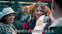 别人家的猫！听话黏人还会赚钱