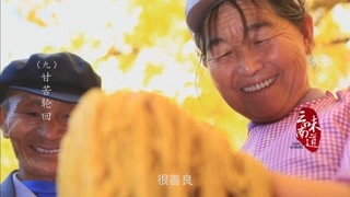 外地摄影师爱上了银杏村的人 他到底想成为哪家的“女婿”