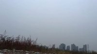 紙飛機