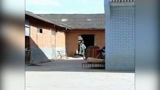 西藏尋寶