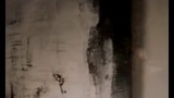 欲望都市第二季_05