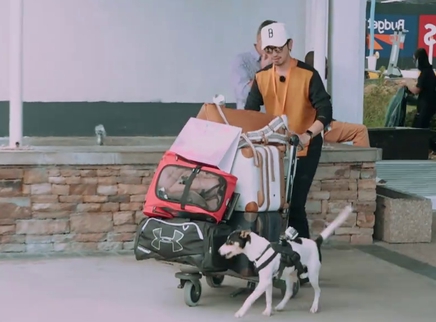 《花儿与少年第三季》--综艺节目全集