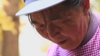 最正宗的美食要用最原始的工艺 荞米线在银杏村最受欢迎