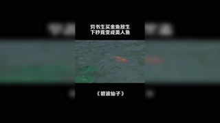 窮書生買金魚放生，下秒竟變成美人魚 #碧波仙子