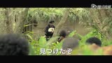 《猫侍 南の島へ行く》预告片