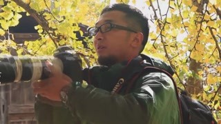 云南的“桃花源”银杏村 成为腾冲最靓丽的风景线