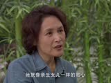 原鄉(xiāng)第28集預(yù)告