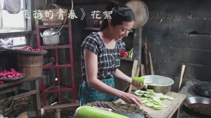 飛揚(yáng)的青春 花絮3：何美鈿篇 (中文字幕)