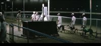 鬼马双星(许冠文使坏赢下巨额奖金)