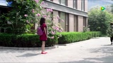 预告片_13