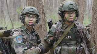 任天野再續特種兵情緣