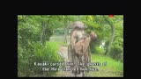 《怪談百物語(yǔ)》花絮