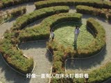 《張震講故事之合租屋》終極預告片   毛骨悚然鬼剃頭